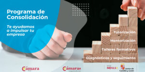 La Cámara de Comercio de Burgos y La Junta de Castilla y León apoyan la consolidación y  digitalización empresarial mediante diagnósticos y análisis personalizados